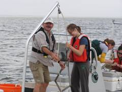Oyester Reef